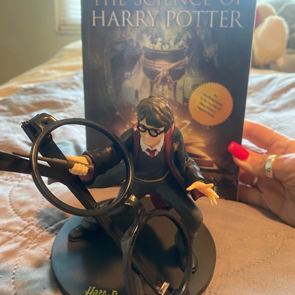 Warner Bros. Harry Potter Figure, Secrets of HP book and glasses